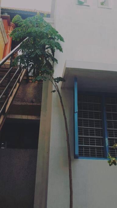 The Vintage House Mysore Exterior foto